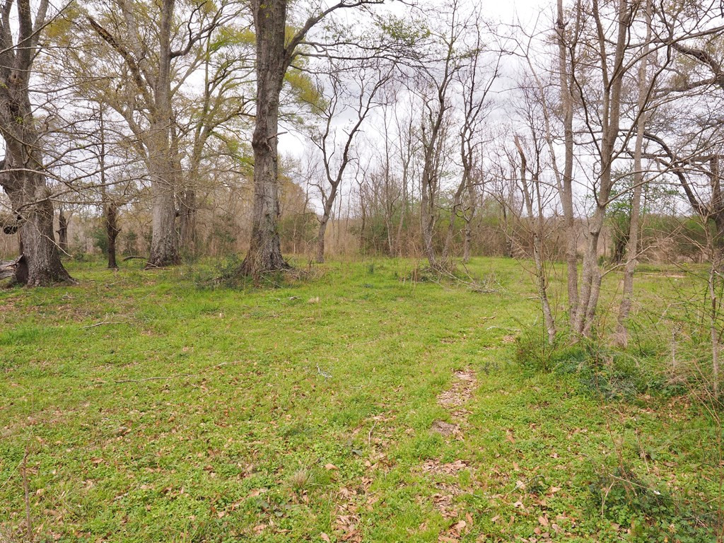 1111 Knoxo Road Tylertown, MS 39667 - Photo 30 of 34 Photo 30
