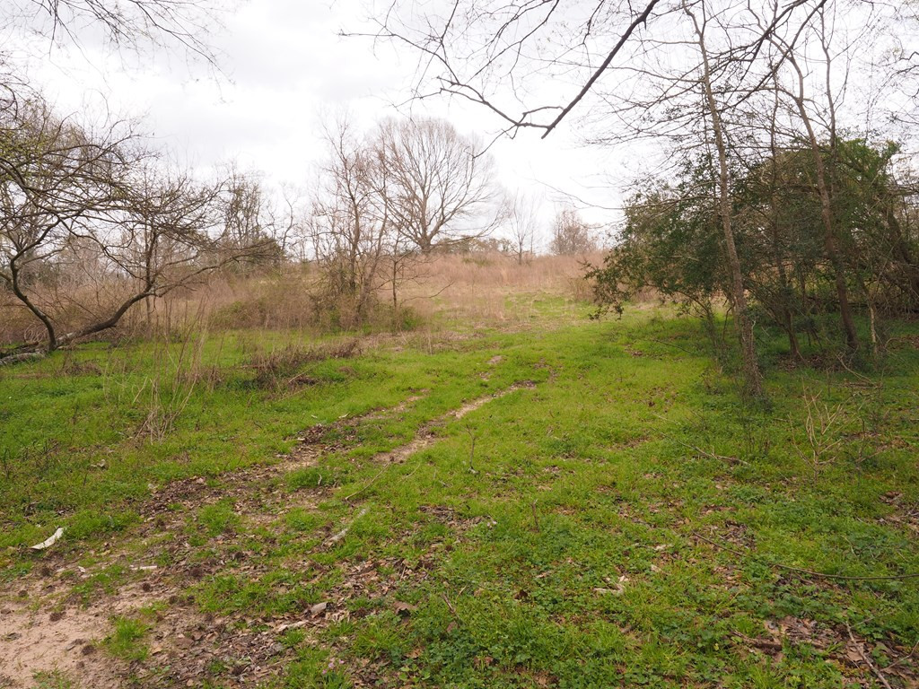 1111 Knoxo Road Tylertown, MS 39667 - Photo 31 of 34 Photo 31