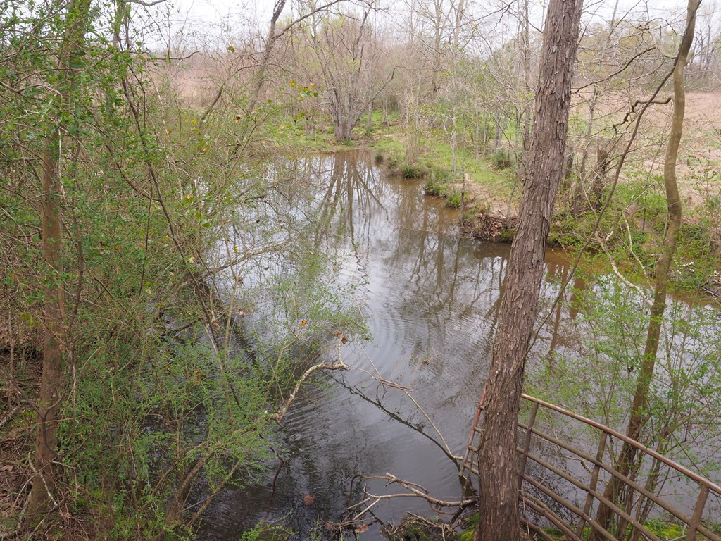 1111 Knoxo Road Tylertown, MS 39667 - Photo 32 of 34 Photo 32