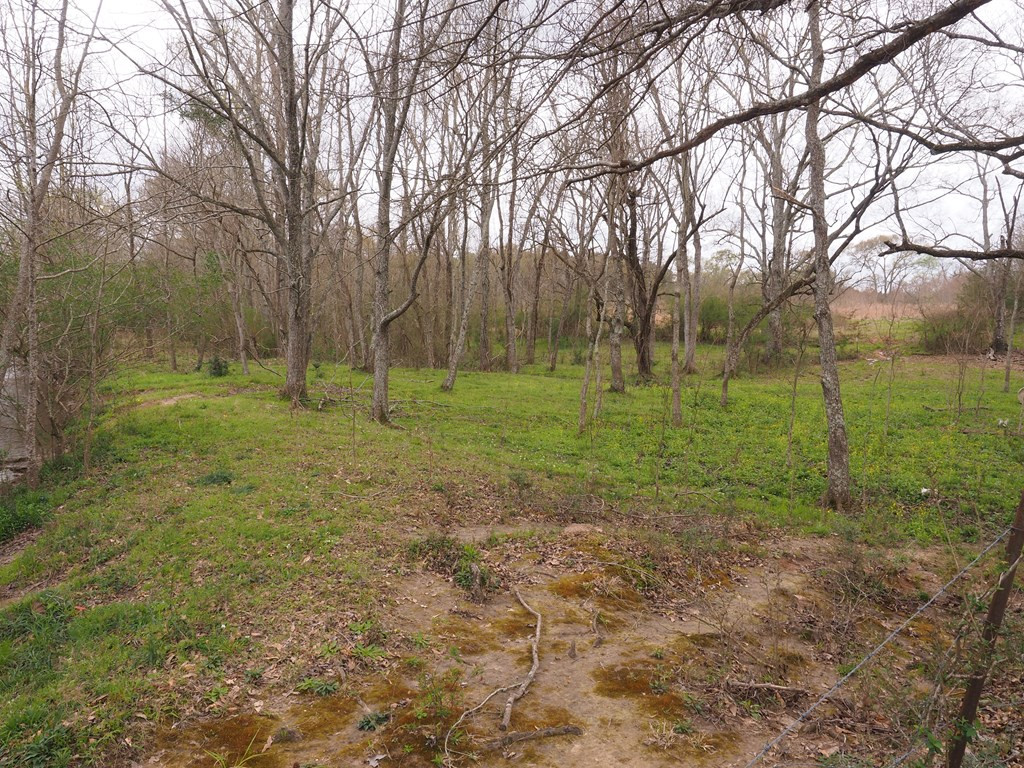 1111 Knoxo Road Tylertown, MS 39667 - Photo 33 of 34 Photo 33