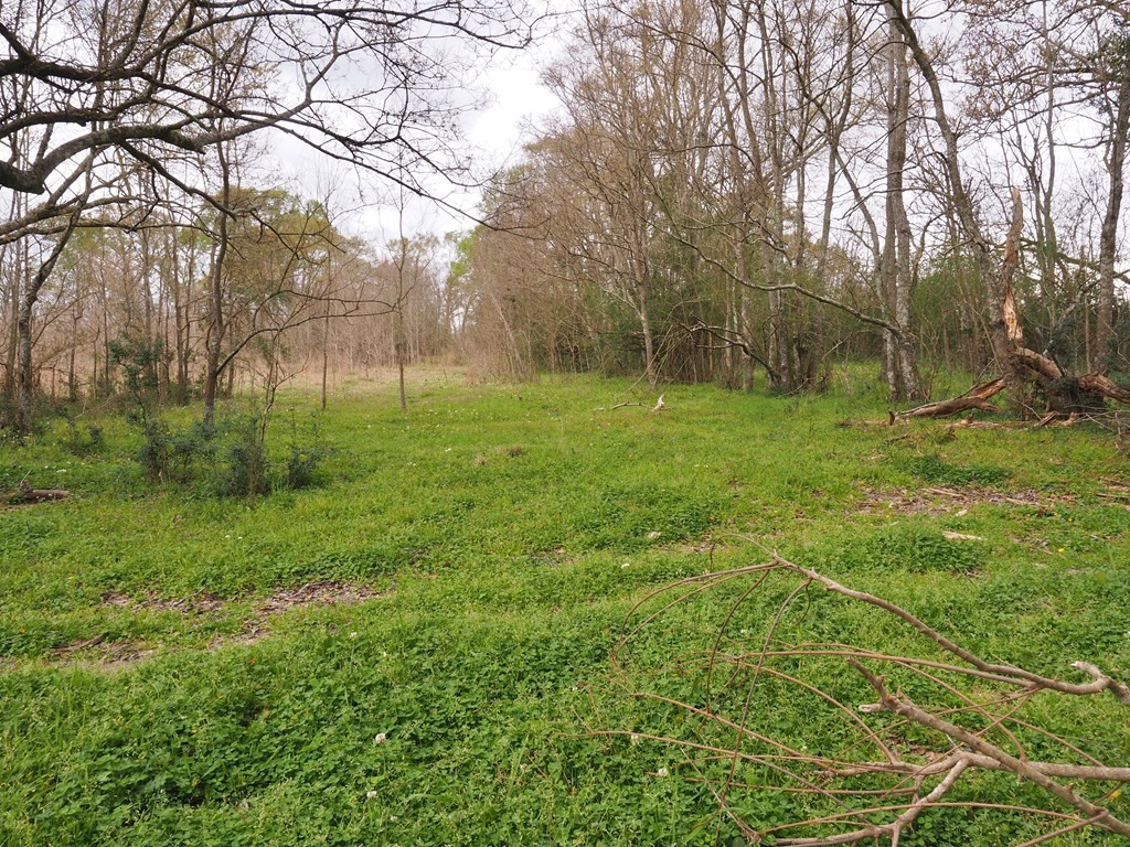 1111 Knoxo Road Tylertown, MS 39667 - Photo 5 of 34 Photo 5