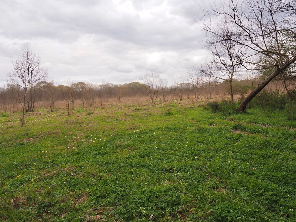 1111 Knoxo Road Tylertown, MS 39667 - Photo 8 of 34 Photo 8