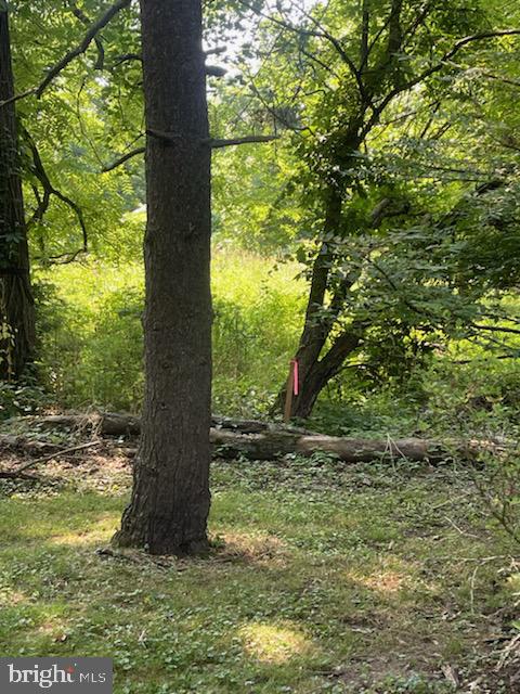 Lot #1 York Road New Hope, PA 18938 - Photo 5 of 16 Far right corner