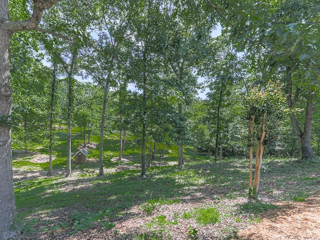 397 Thomas Road Dallas, GA 30132 - Photo 103 of 108 a view of a green field with lots of trees