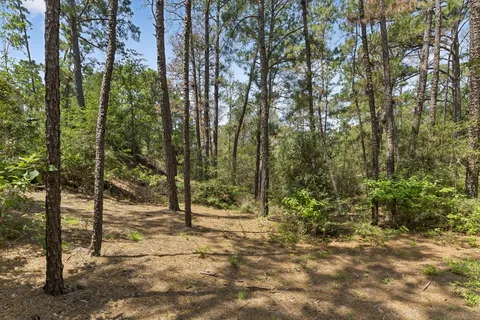 $465,000 | 138 Papawai Drive, Bastrop, TX 78602