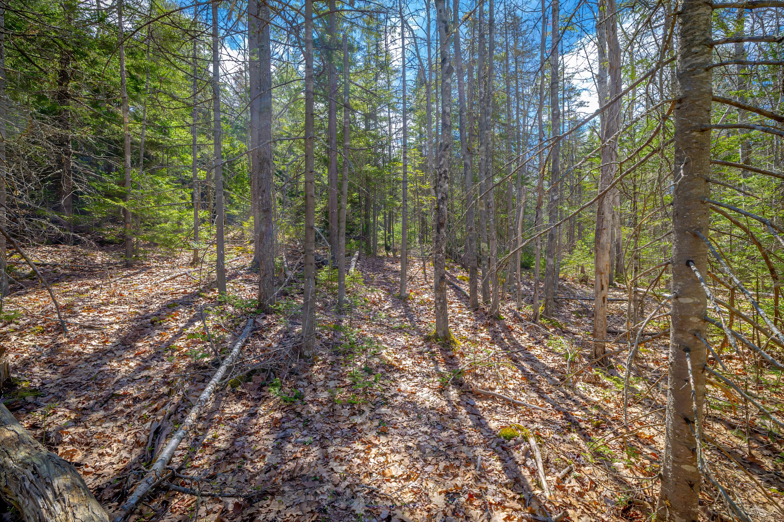 Lot 9 Bluff Road Bar Harbor, ME 04609 - Photo 18 of 33 Copy of 41-Lot 9, Bluff Road-DTP
