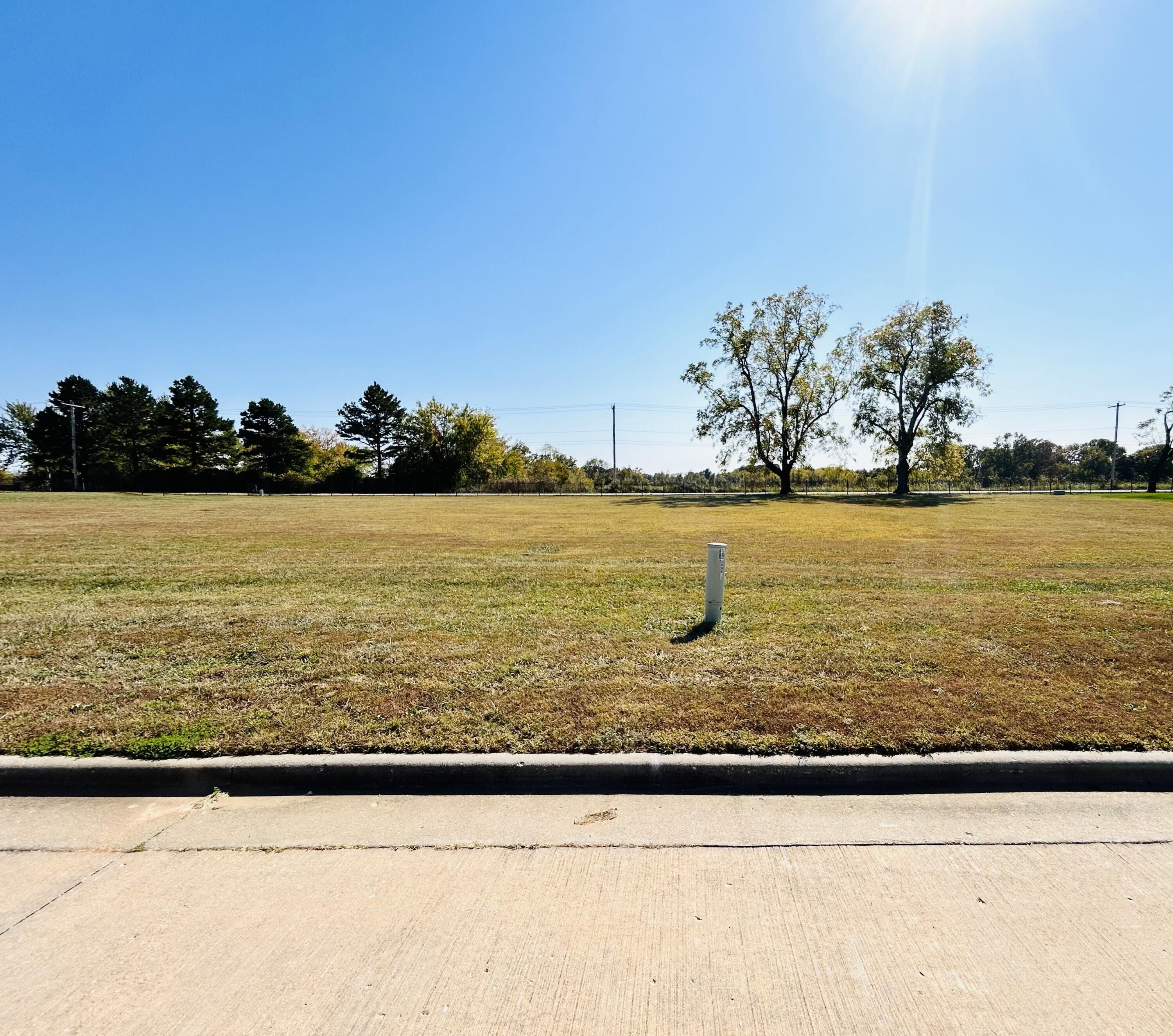4010 East Dunrobin Drive Springfield, MO 65809 - Photo 1 of 1 lt 10