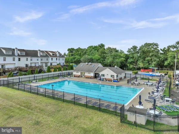 a lake view with a tree