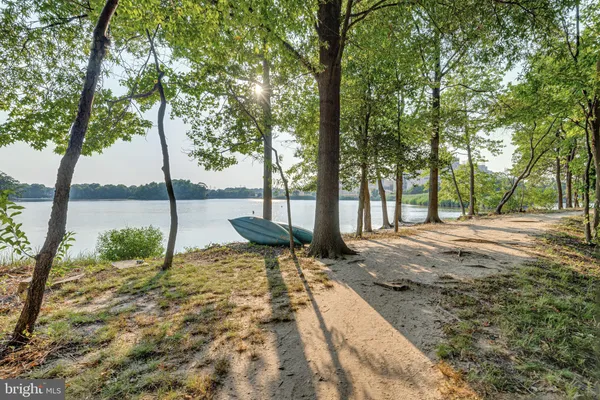 a view of a street with a yard and palm trees