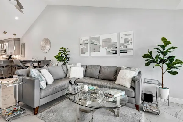 a living room with furniture a rug and a potted plant