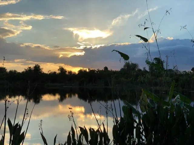 a view of a lake in middle of forest