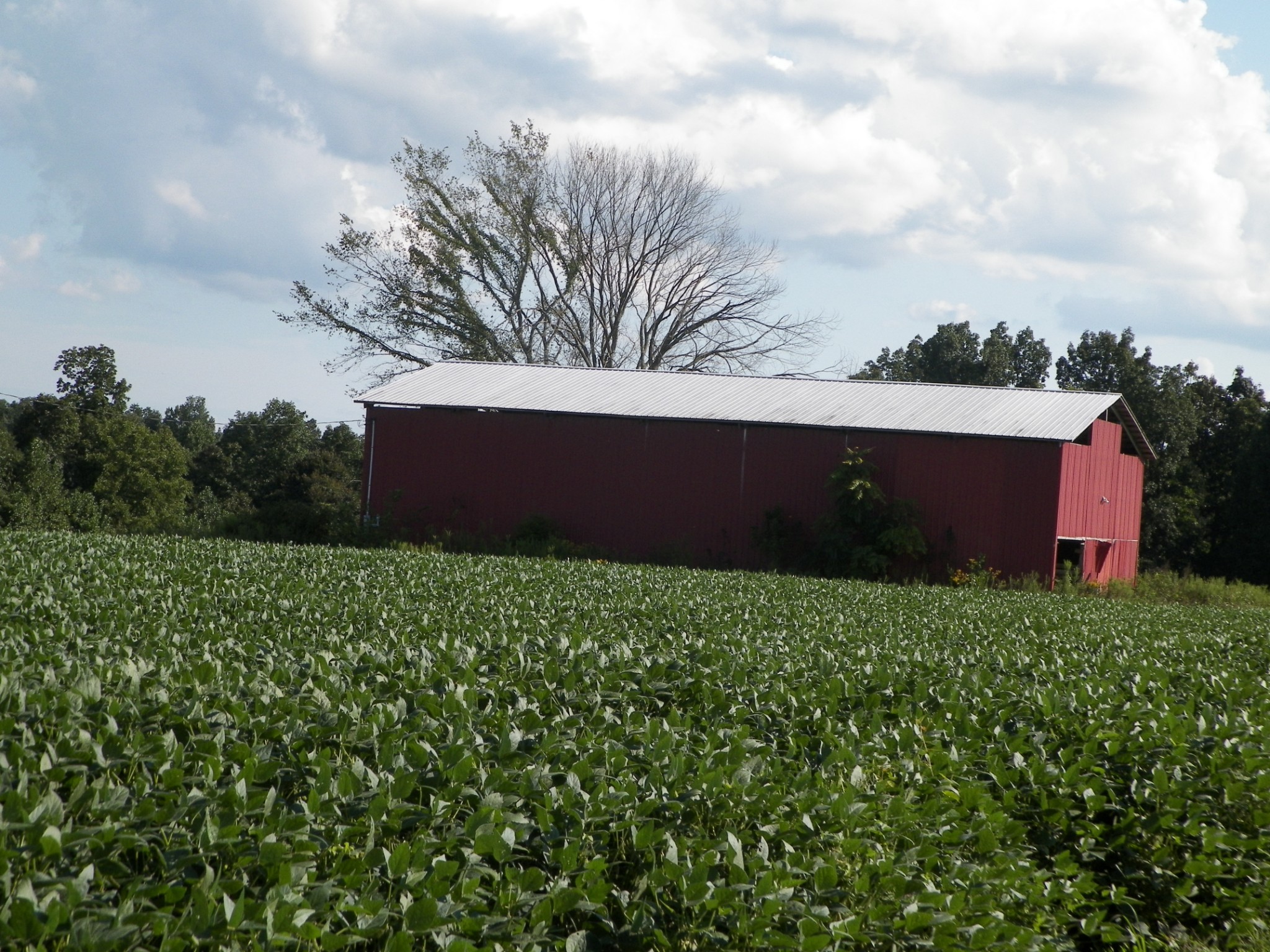 651 Driver Hill Road Lafayette, TN 37083 - Photo 3 of 5 Gallery Image 3