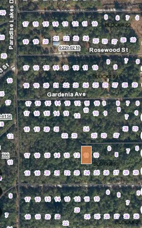 $8,500 | 113 Palm Way, Georgetown, FL 32139