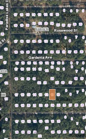 $8,900 | 113 Palm Way, Georgetown, FL 32139