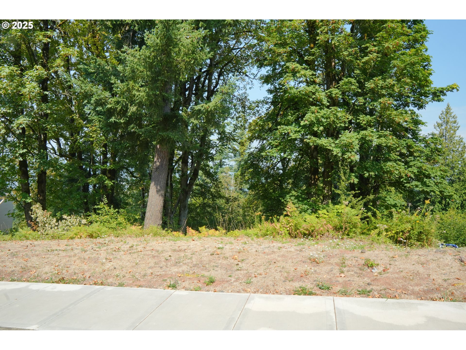 10421 Southeast Quail Ridge Drive Happy Valley, OR 97086 - Photo 3 of 6