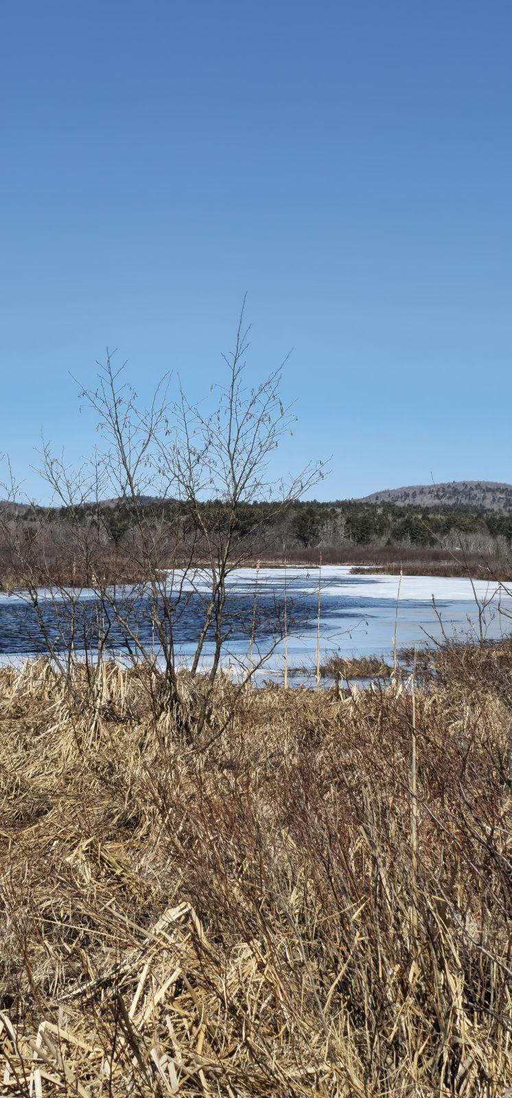286 Pease Hill Road Anson, ME 04911 - Photo 37 of 37 FF505456-B0C2-448F-A7B2-001F04566679