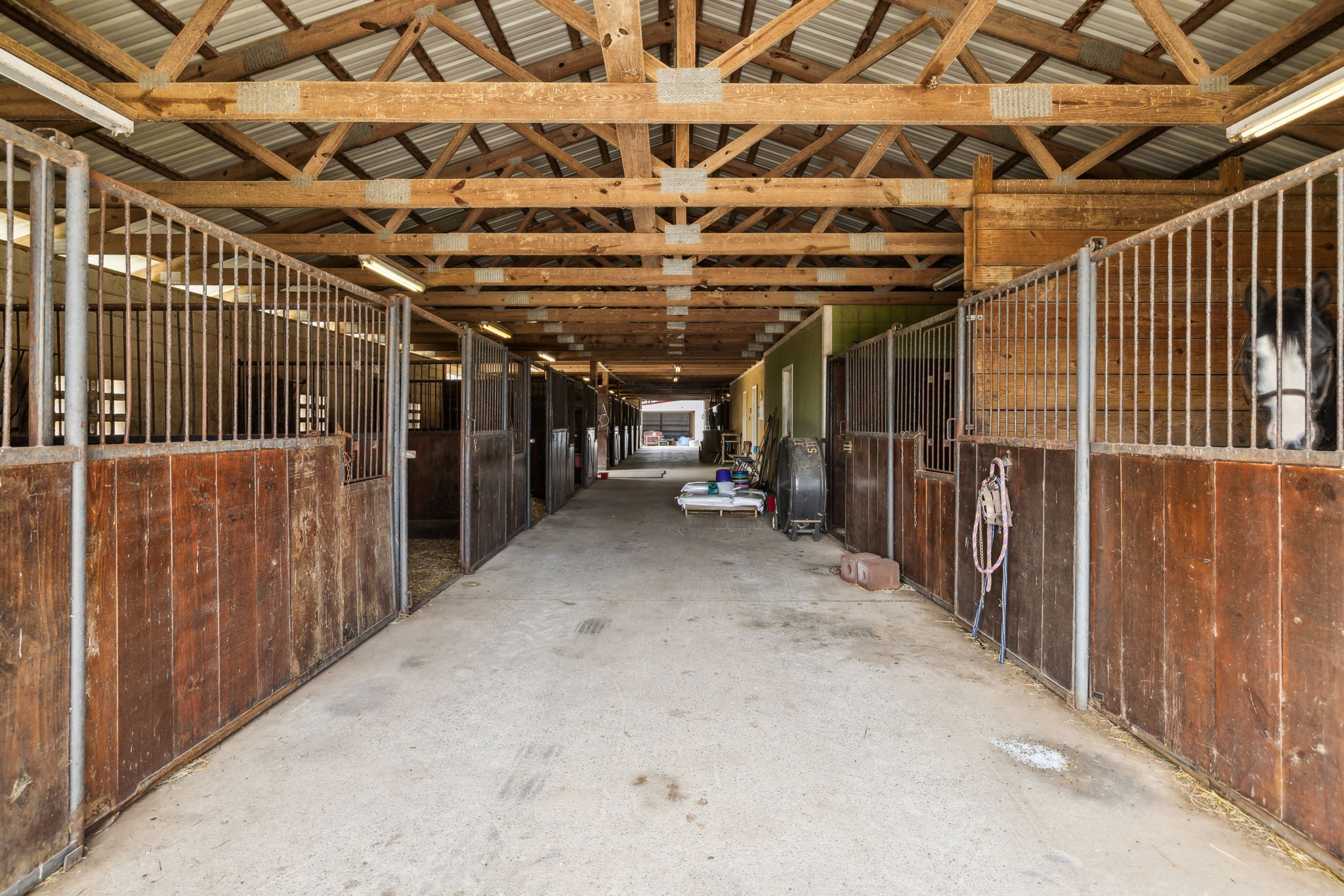 1112 Allisona Road Eagleville, TN 37060 - Photo 32 of 69