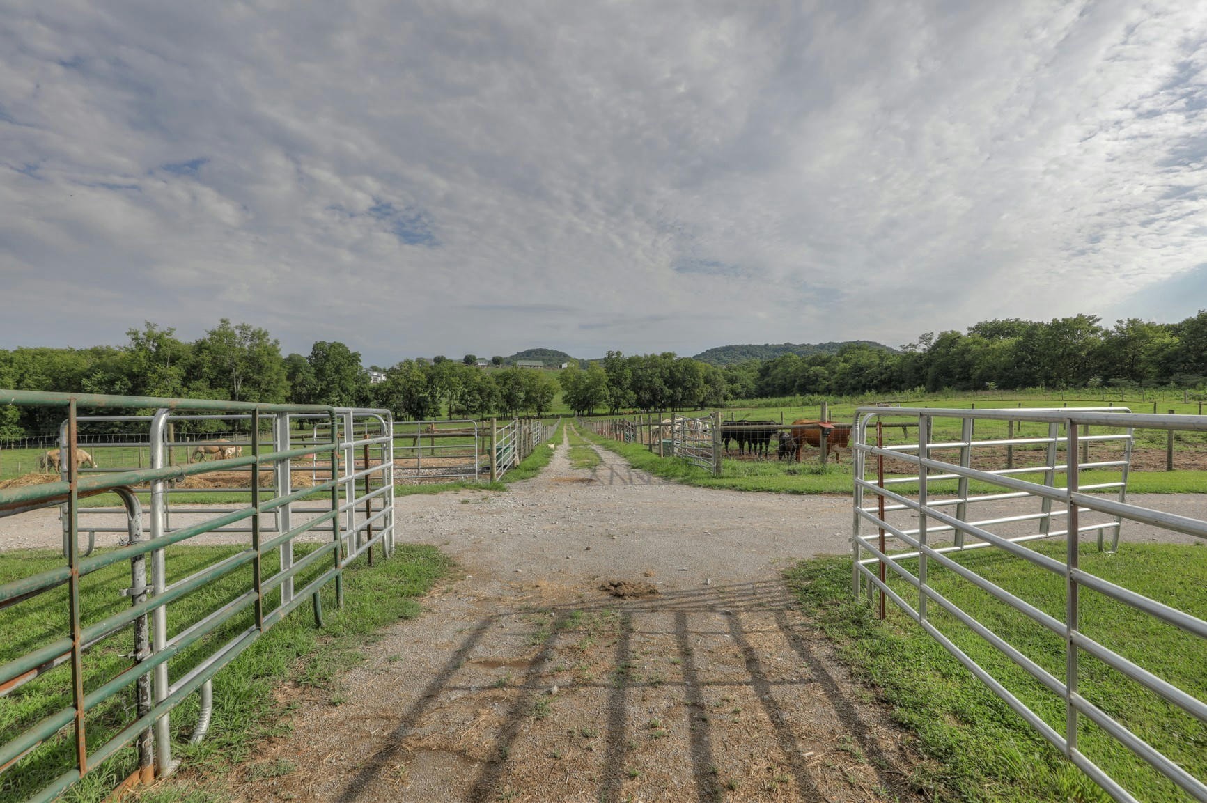 1112 Allisona Road Eagleville, TN 37060 - Photo 37 of 69