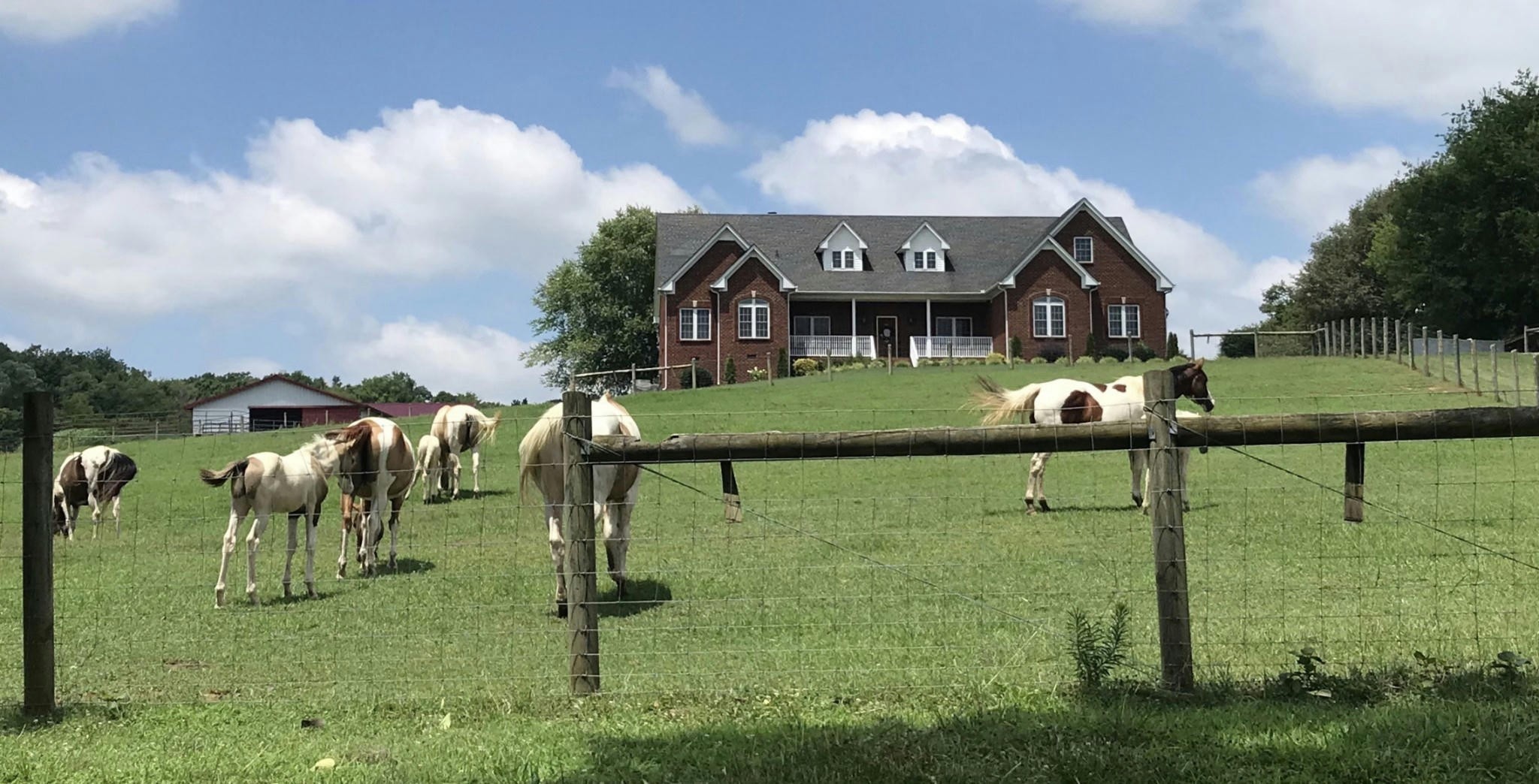 1112 Allisona Road Eagleville, TN 37060 - Photo 39 of 69