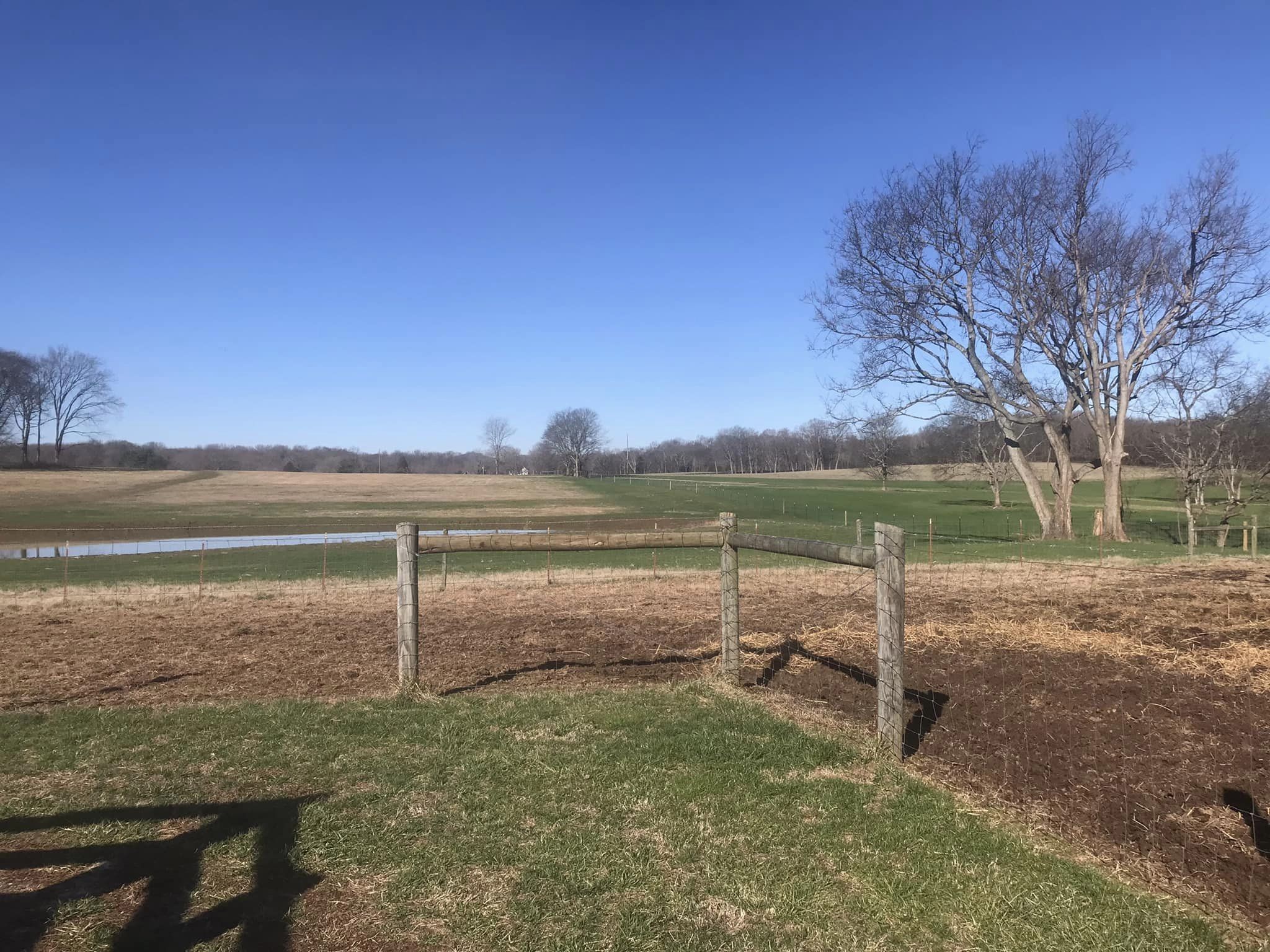 1112 Allisona Road Eagleville, TN 37060 - Photo 45 of 69