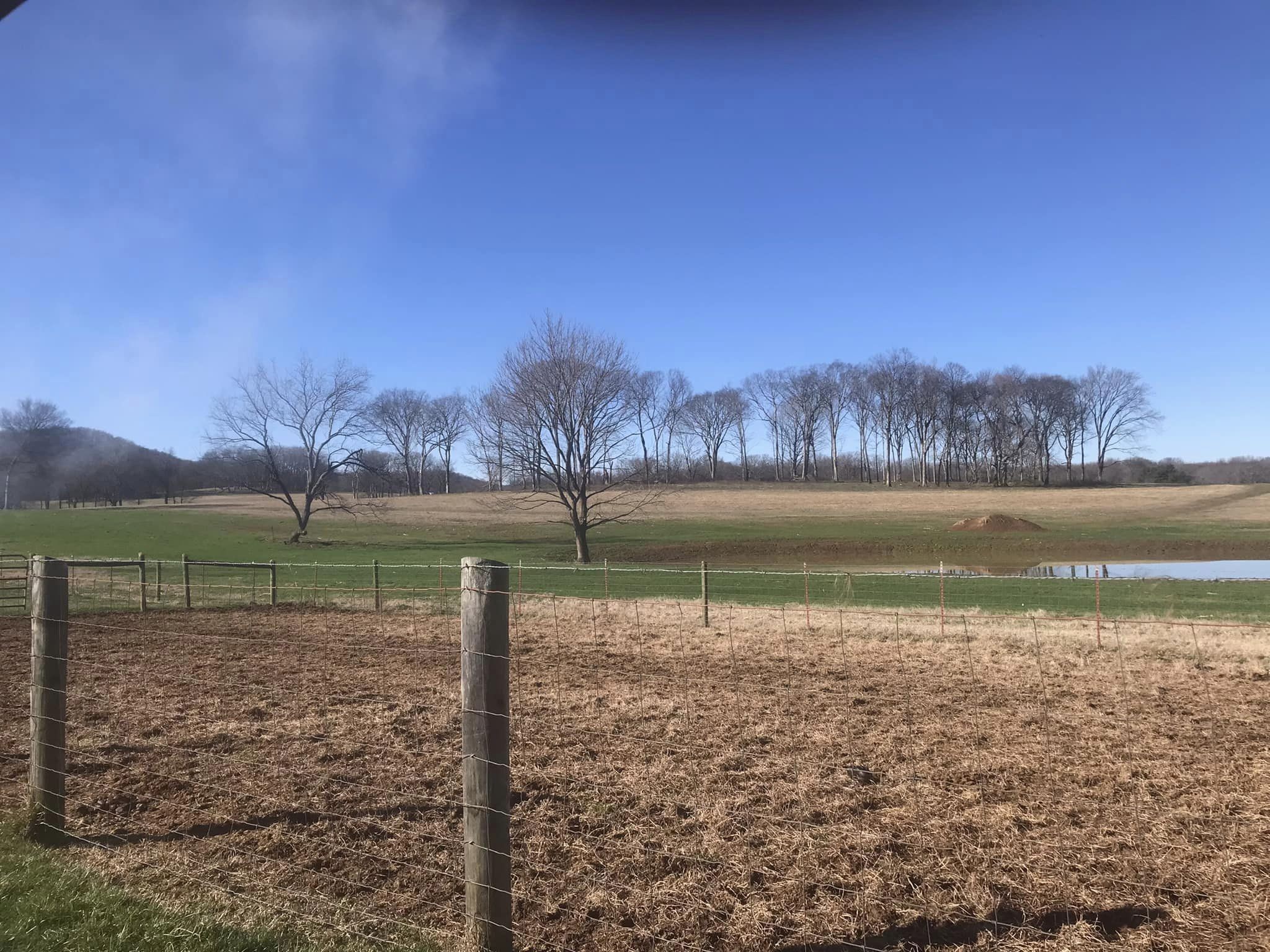 1112 Allisona Road Eagleville, TN 37060 - Photo 46 of 69