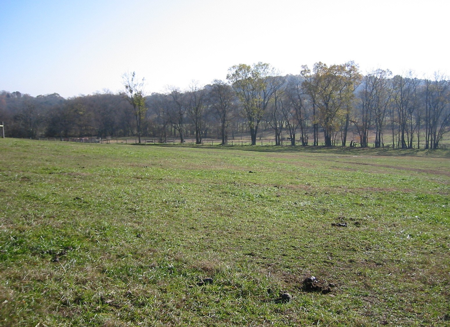 1112 Allisona Road Eagleville, TN 37060 - Photo 48 of 69