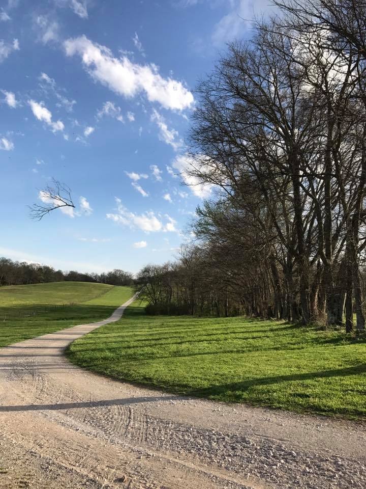 1112 Allisona Road Eagleville, TN 37060 - Photo 49 of 69