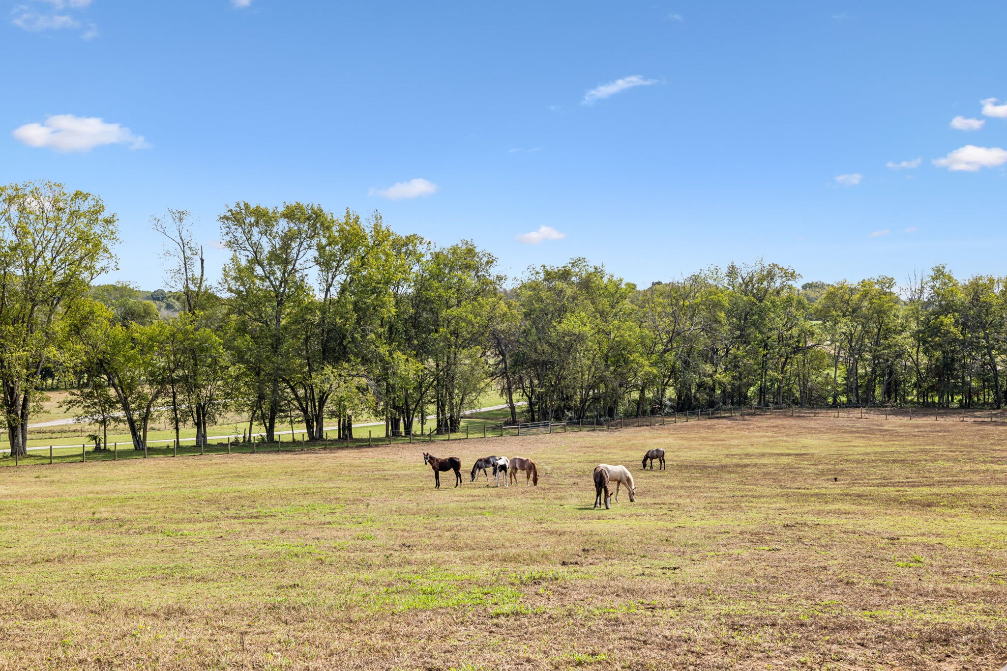 1112 Allisona Road Eagleville, TN 37060 - Photo 5 of 69
