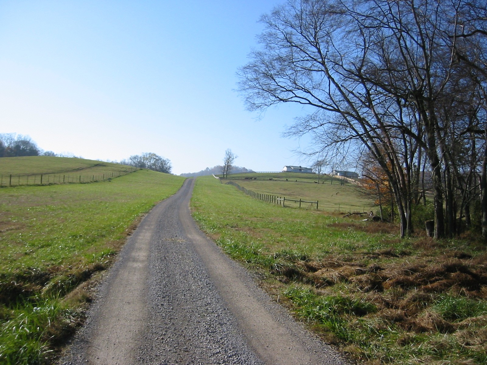 1112 Allisona Road Eagleville, TN 37060 - Photo 52 of 69