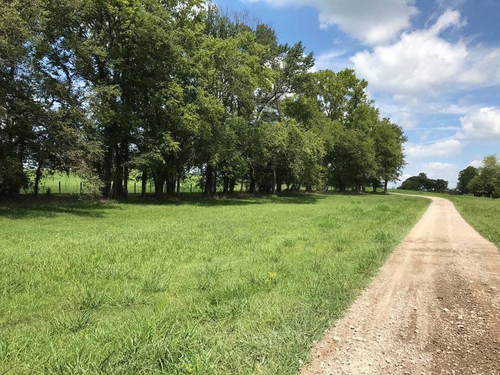 1112 Allisona Road Eagleville, TN 37060 - Photo 54 of 69