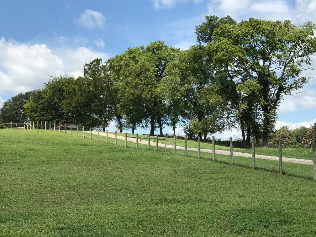 1112 Allisona Road Eagleville, TN 37060 - Photo 55 of 69