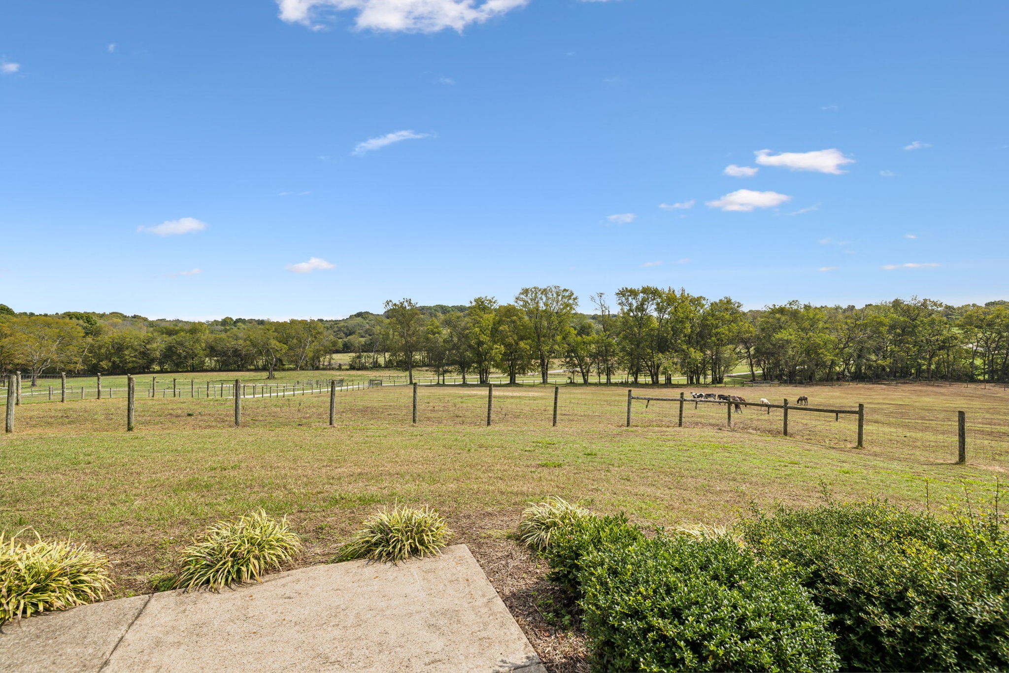 1112 Allisona Road Eagleville, TN 37060 - Photo 6 of 69