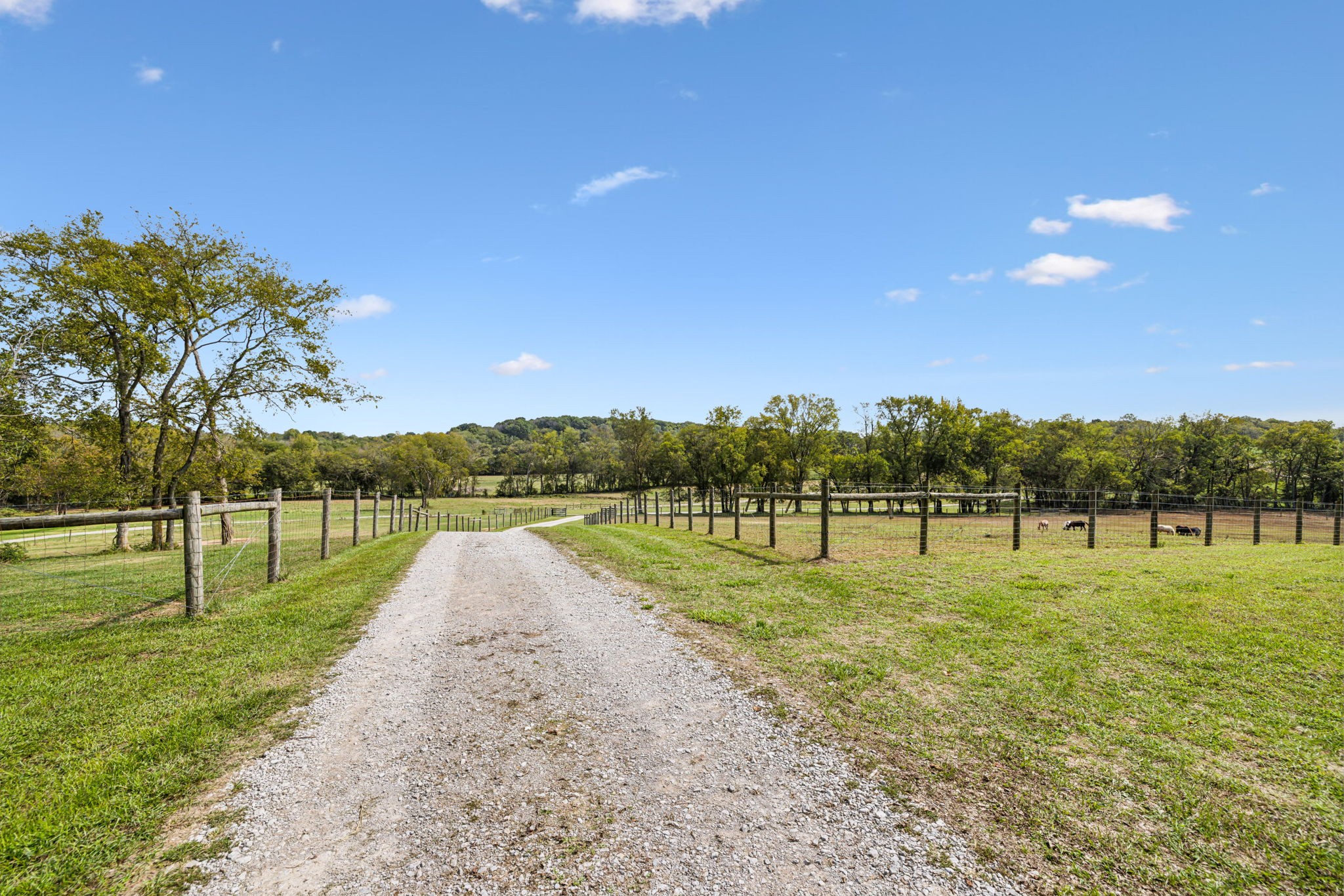 1112 Allisona Road Eagleville, TN 37060 - Photo 68 of 69