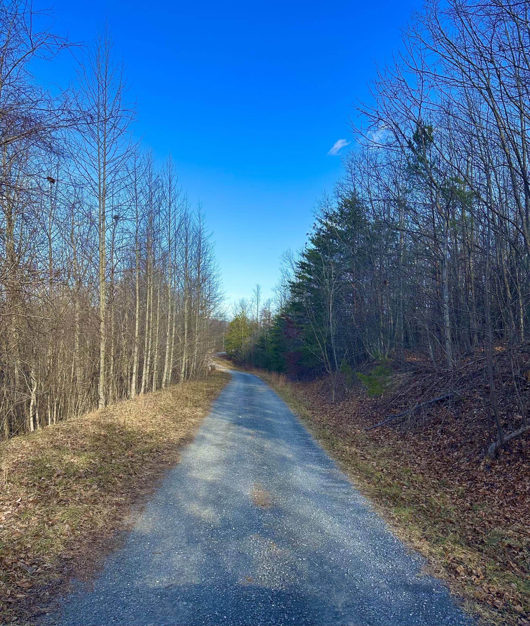0 Dry Run Covington, VA 24426 - Photo 11 of 12 IMG_6293