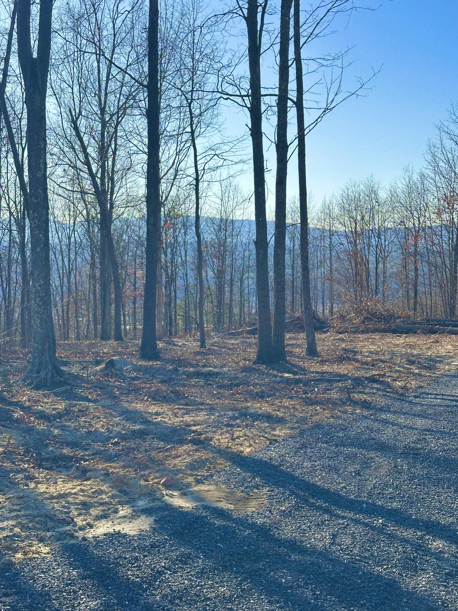 0 Dry Run Covington, VA 24426 - Photo 2 of 12 IMG_6288