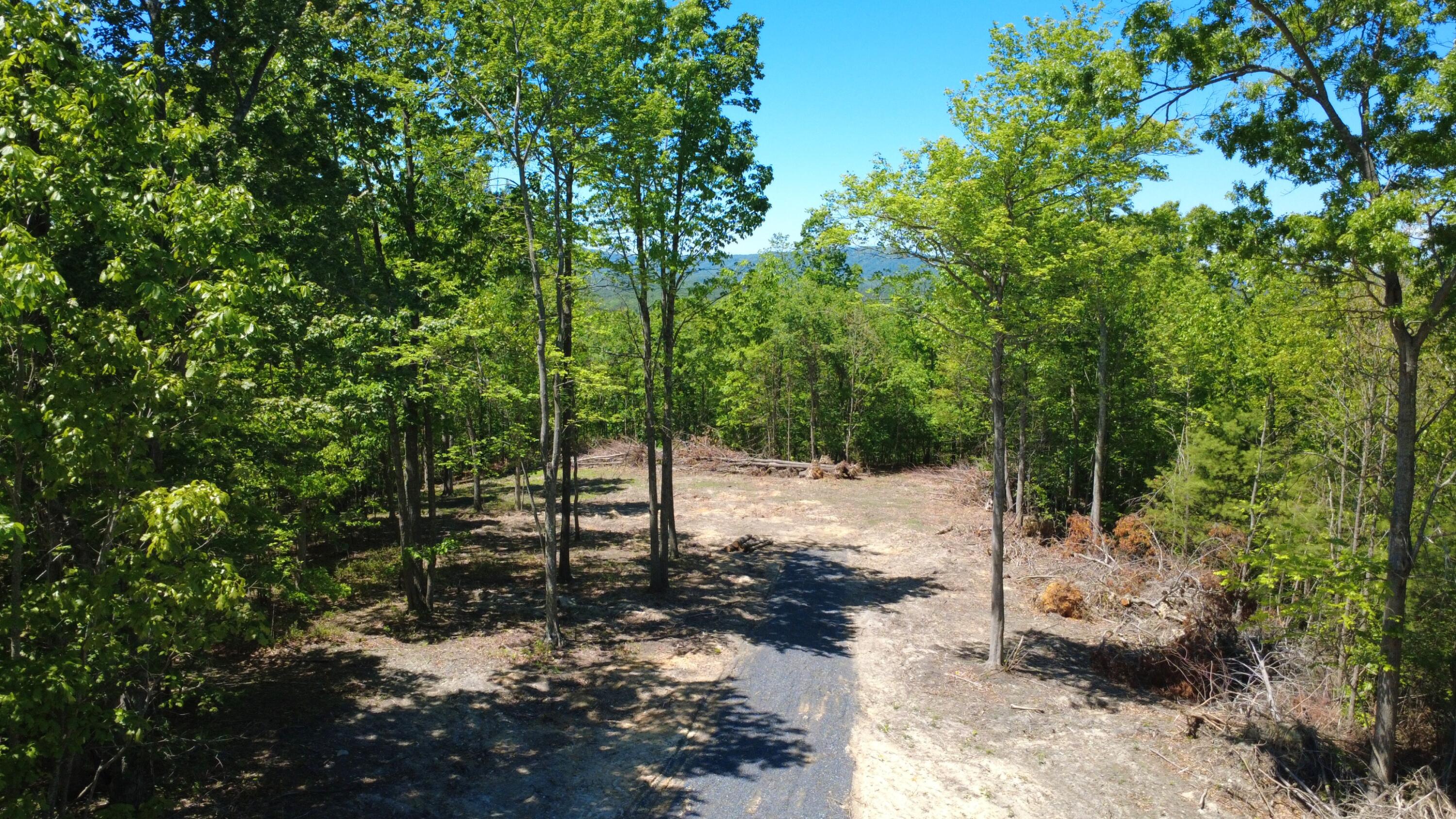 0 Dry Run Covington, VA 24426 - Photo 2 of 18 DJI_0148