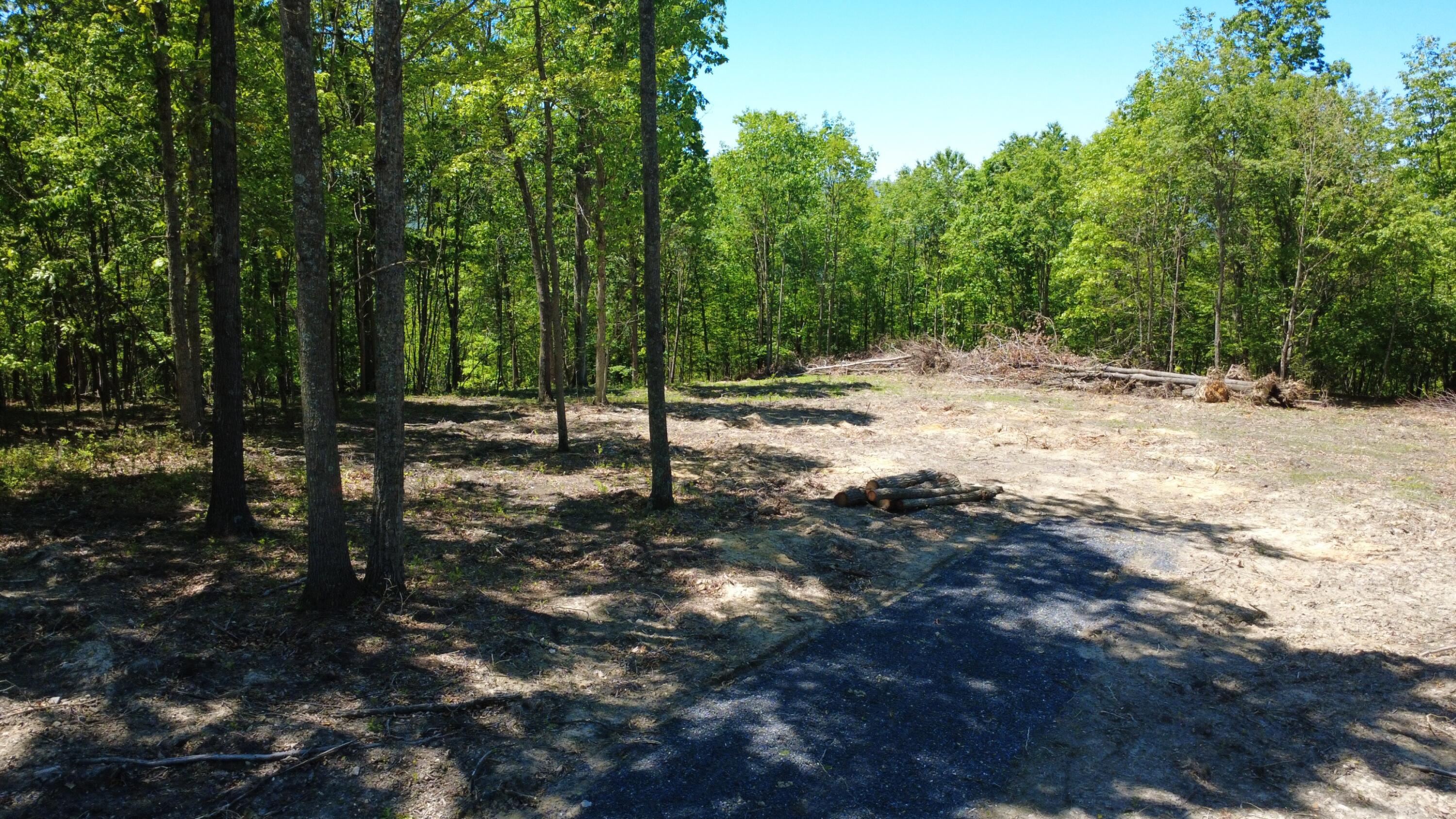 0 Dry Run Covington, VA 24426 - Photo 4 of 18 DJI_0176