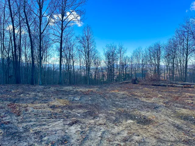 $89,000 | 0 Dry Run, Covington, VA 24426