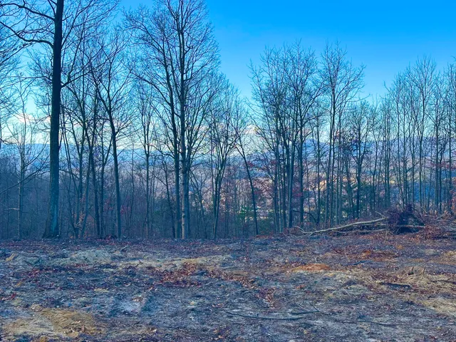 $89,000 | 0 Dry Run, Covington, VA 24426