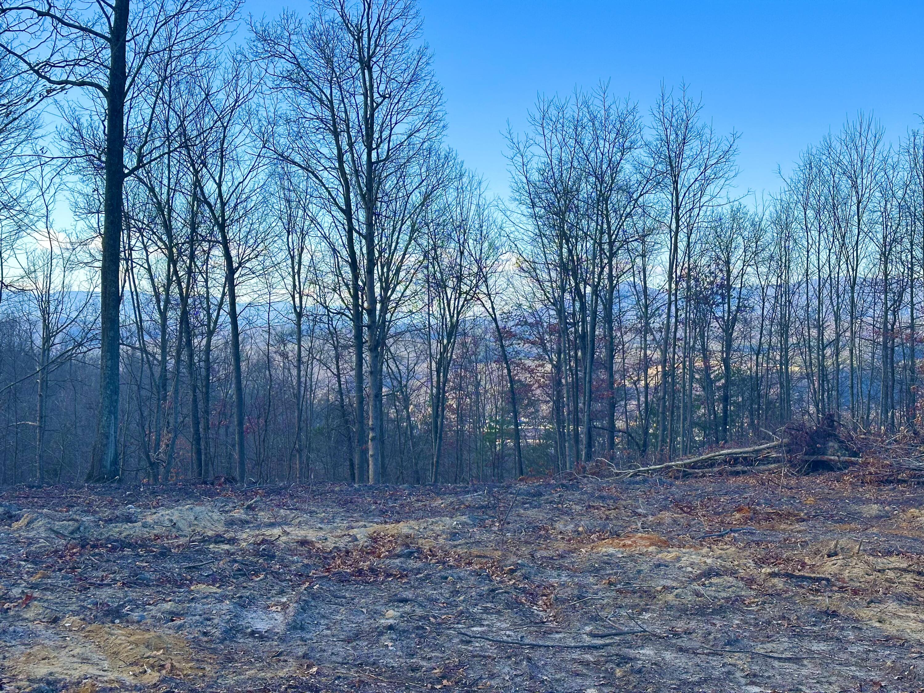 0 Dry Run Covington, VA 24426 - Photo 5 of 12 IMG_6302