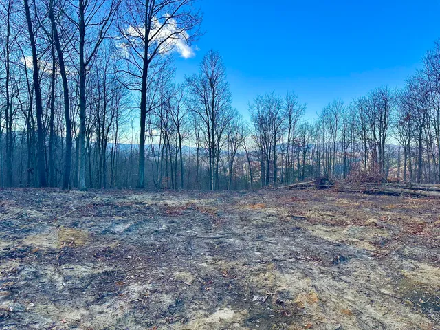 $89,000 | 0 Dry Run, Covington, VA 24426