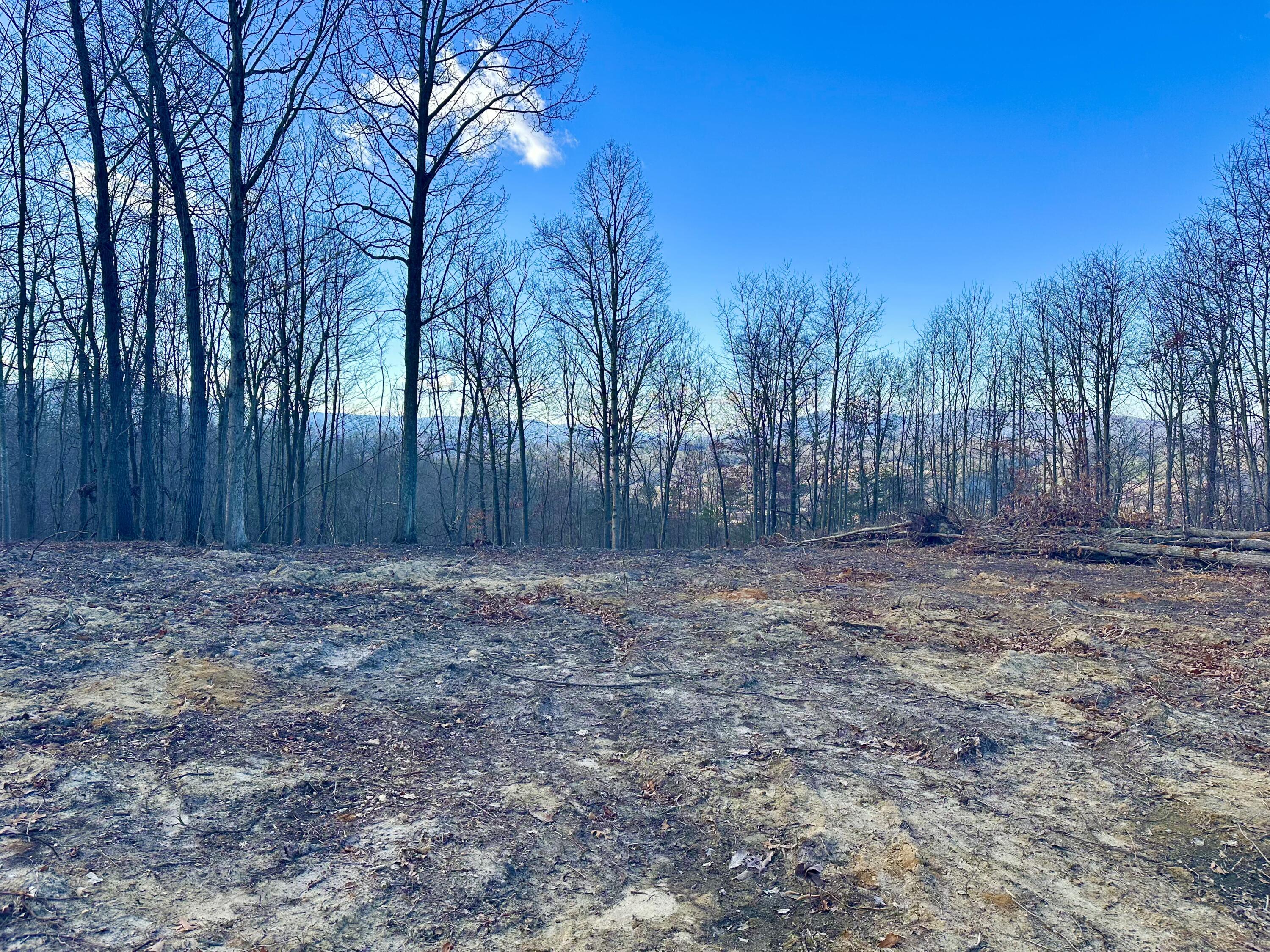 0 Dry Run Covington, VA 24426 - Photo 6 of 12 IMG_6308