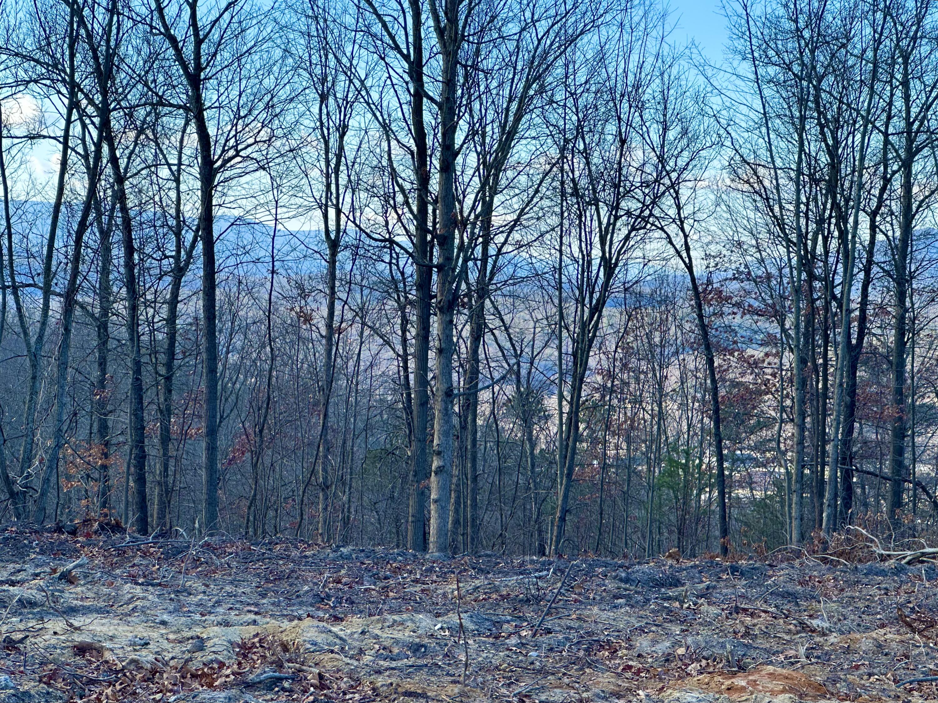 0 Dry Run Covington, VA 24426 - Photo 7 of 12 IMG_6307