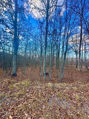 $89,000 | 0 Dry Run, Covington, VA 24426