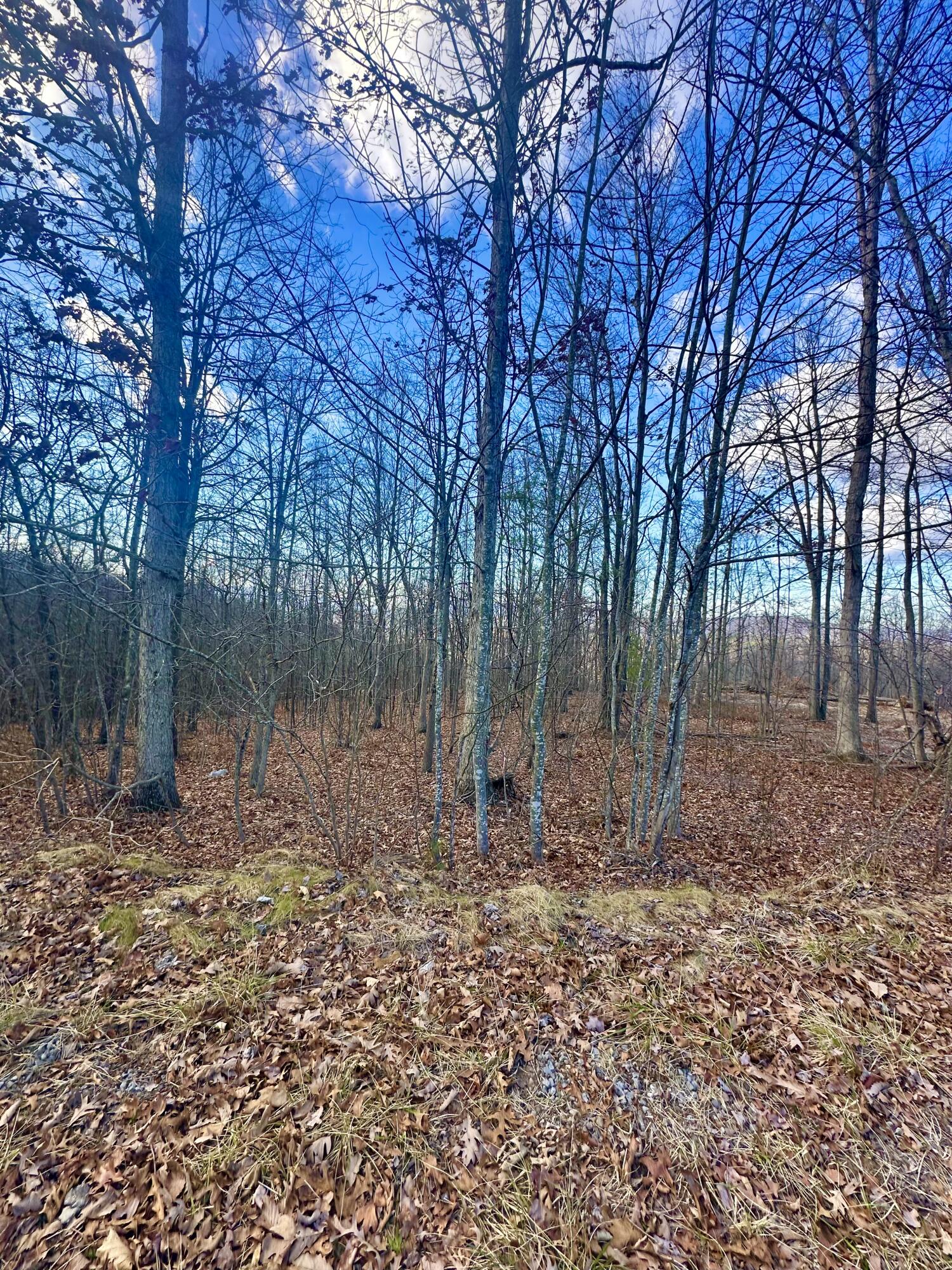 0 Dry Run Covington, VA 24426 - Photo 8 of 12 IMG_6311