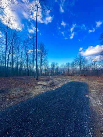 a view of a yard with trees