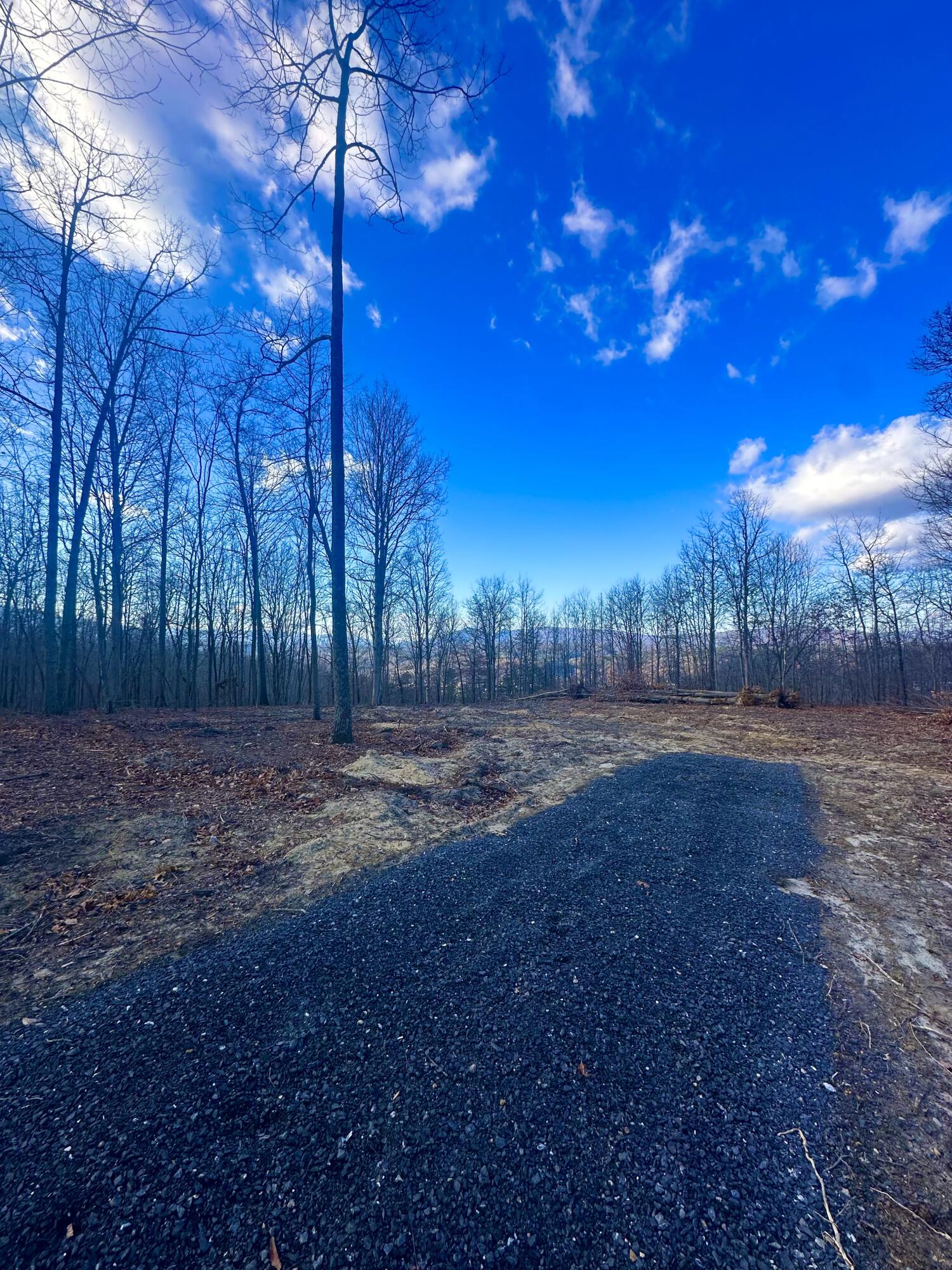0 Dry Run Covington, VA 24426 - Photo 9 of 12 IMG_6299