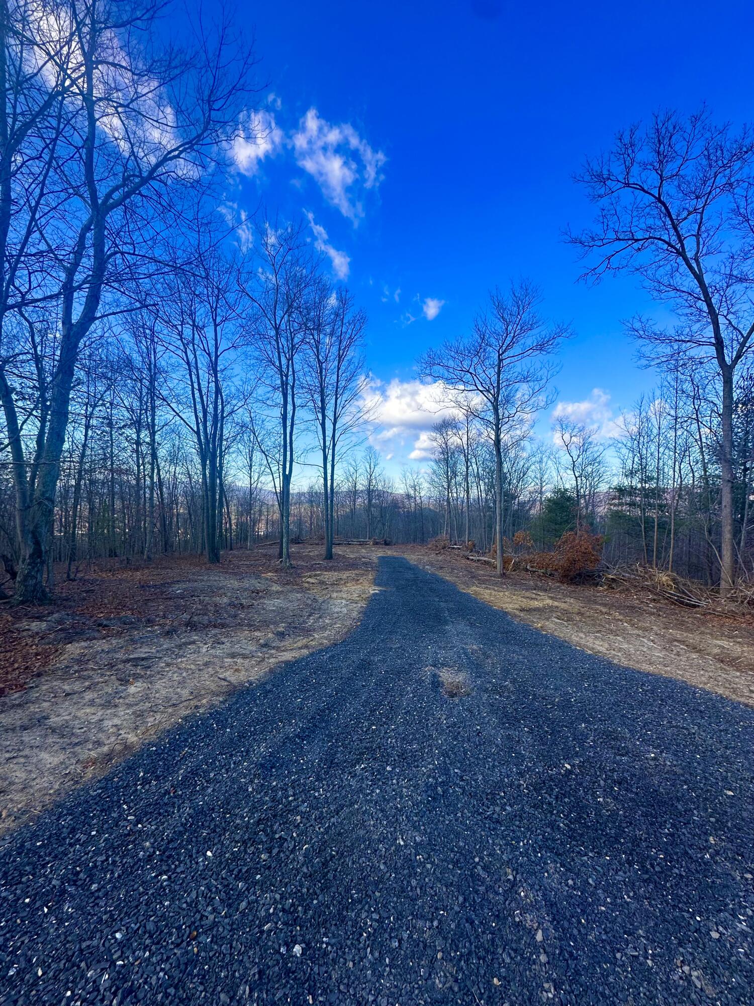 0 Dry Run Covington, VA 24426 - Photo 10 of 12 IMG_6296
