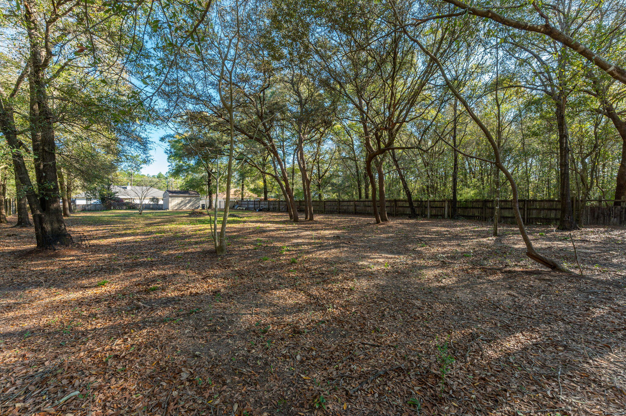 8933 Highway 90 Milton, FL 32583 - Photo 8 of 31 a view of a field with trees