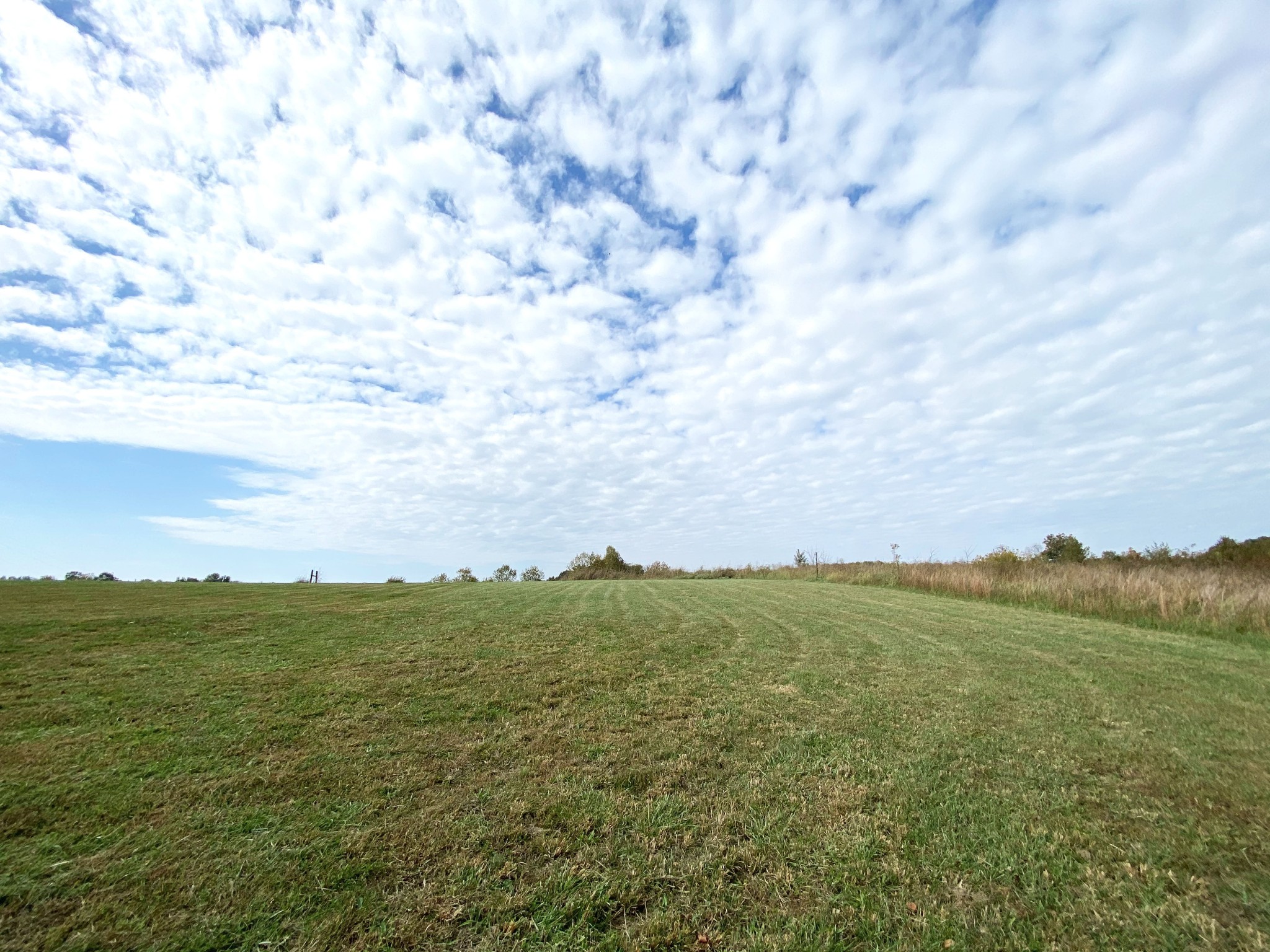 585 Blooming Grove Road Pulaski, TN 38478 - Photo 22 of 41 a view of an ocean